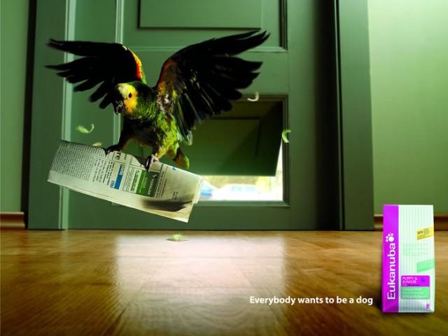 funny-ads-with-animals-53