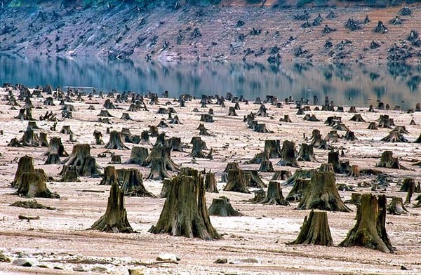 Mežu izciršanas rezultāts neiedvesmo uz dzeju, vai ne? Vilametas ieleja, Oregonas štats, ASV