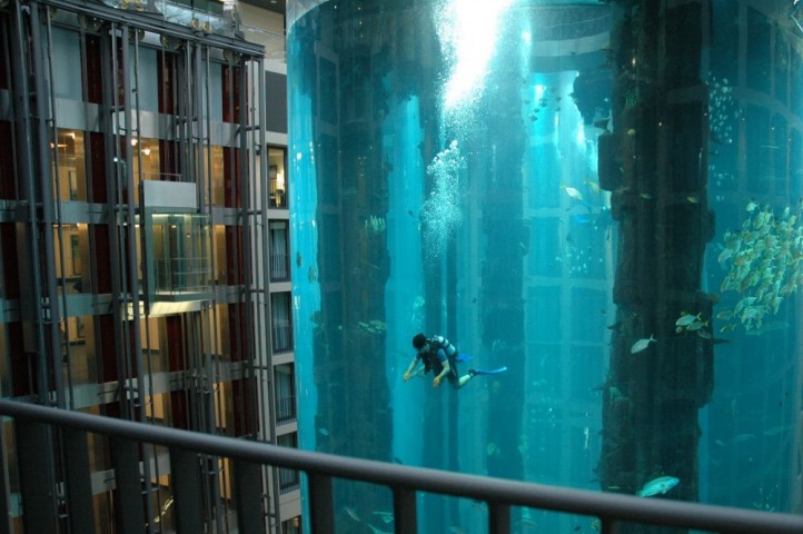 Šis gigantiskais akvārijs, kurā dzīvo vairāk nekā 1500 zivju, ir lifta šahtas siena. 