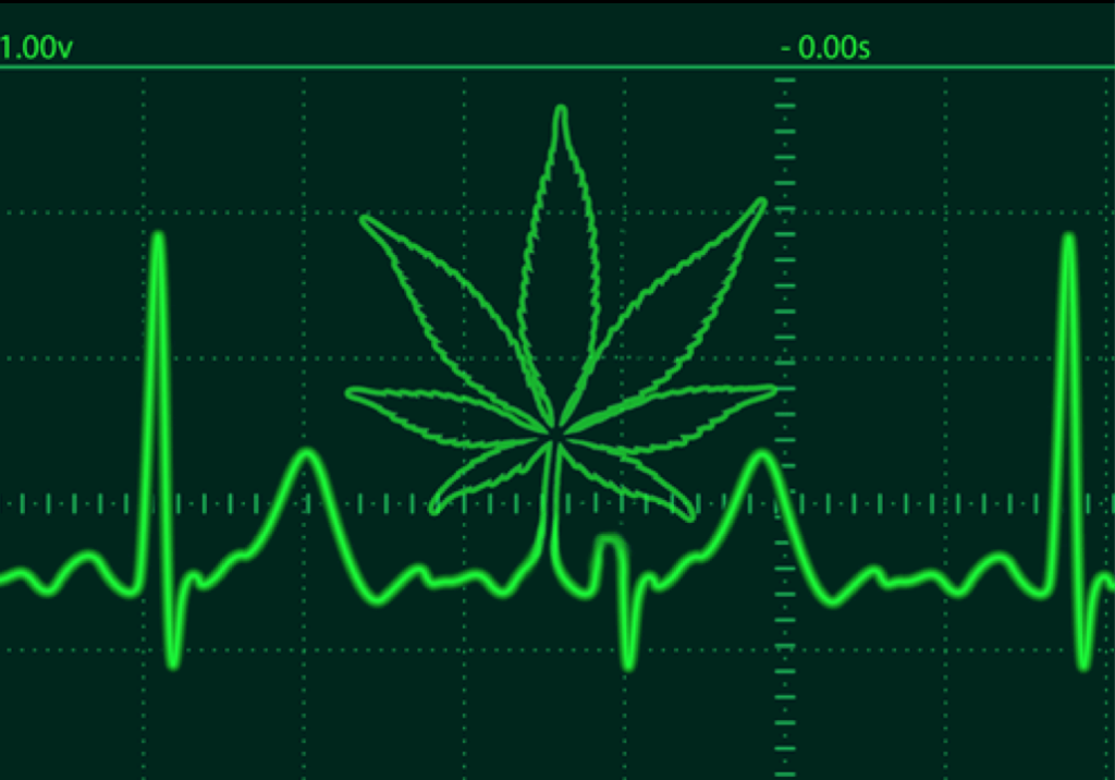 marihuana-04