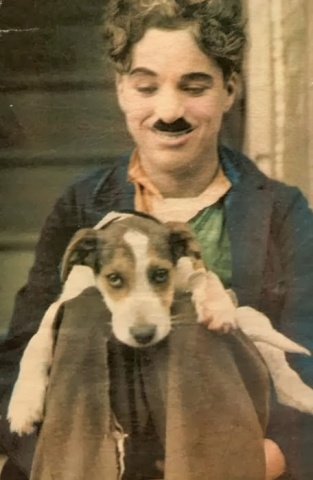 Leģendārā mēmā kino zvaigzne Čārlijs Čaplins bez slavenā melnā katliņa, bet ar savu suni