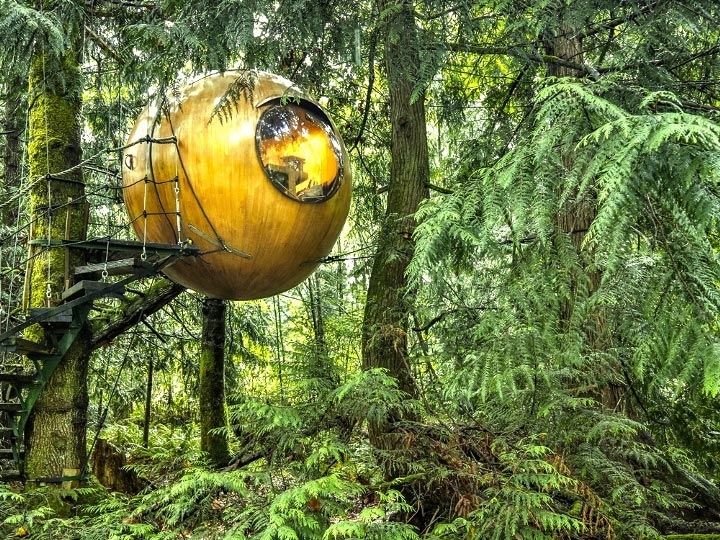 Šīs mājas Kanādas mežos iedzīvotāji acīmredzot iztēlojas sevi par lapsenēm. 