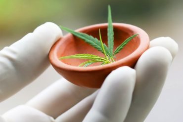 marihuānas legalizācija