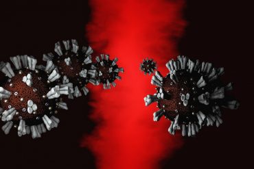 Koronavirus