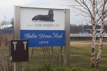 ūdeļu audzēšana