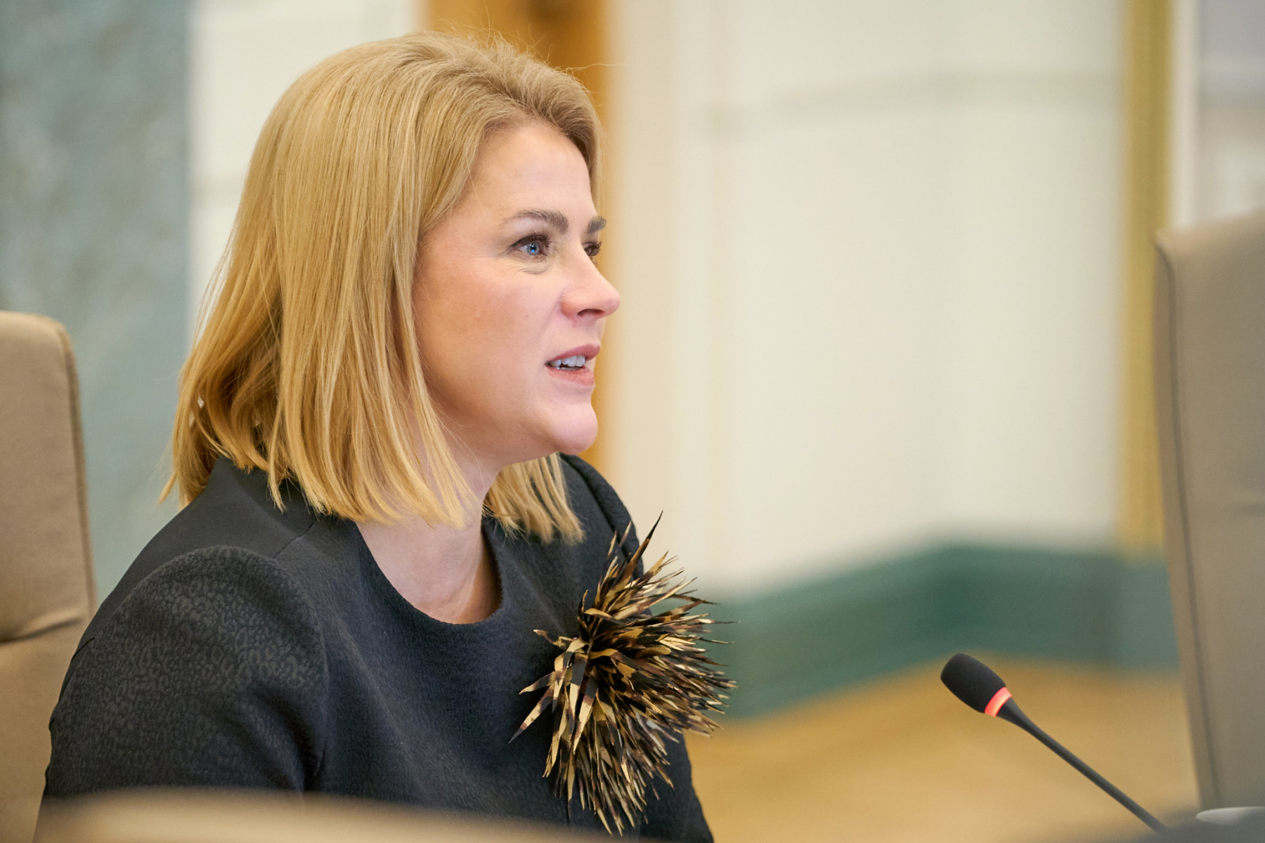 Siliņa pārliecināta, ka ne valdību kopumā, ne viņu pašu nevajadzētu ...